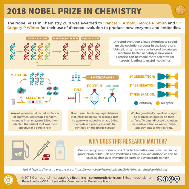 The 2018 Nobel Prize in Chemistry: Harnessing evolution to produce new enzymes and antibodies