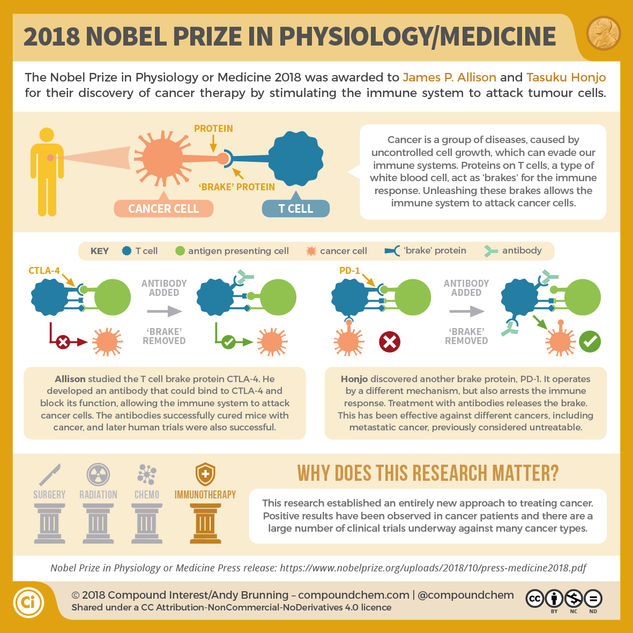 The 2018 Nobel Prize in Physiology/Medicine: Unleashing our immune systems against cancer