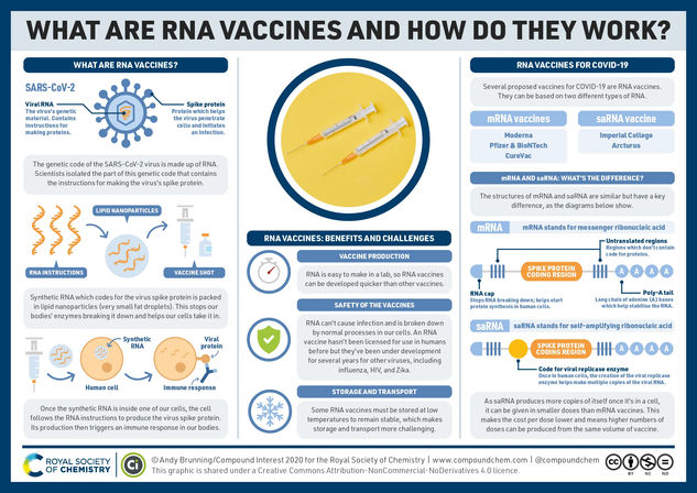 What are the COVID-19 RNA vaccines and how do they work?