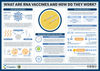 What are the COVID-19 RNA vaccines and how do they work?