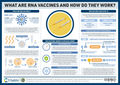 Was sind die COVID-19-RNA-Impfstoffe und wie wirken sie?