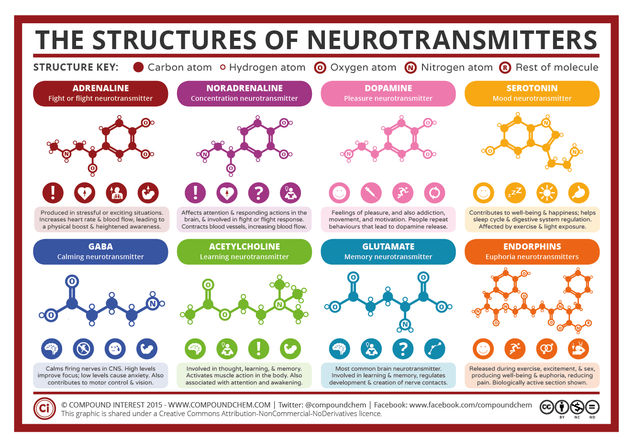 A Simple Guide to Neurotransmitters