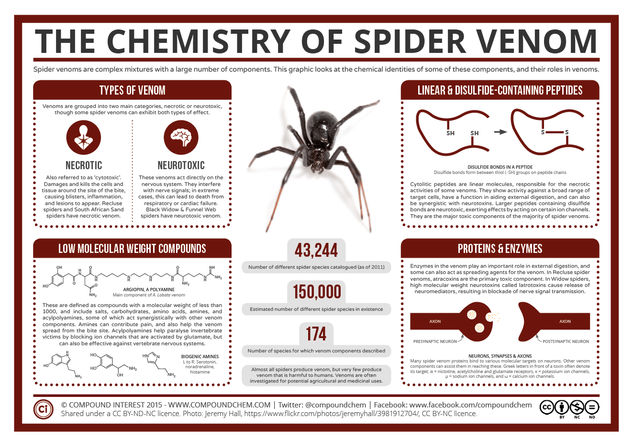 The Chemistry of Spider Venom