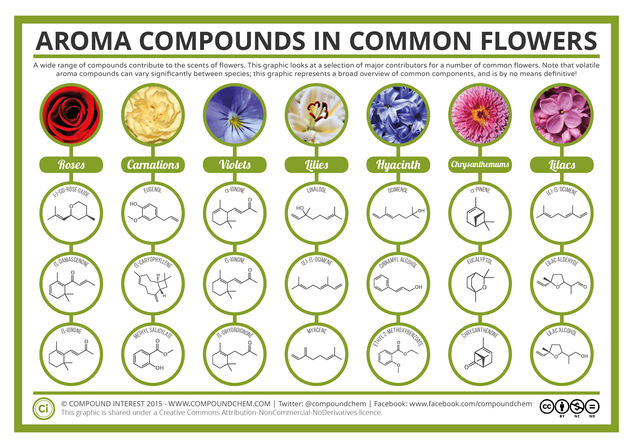 The Chemical Compounds Behind the Smell of Flowers
