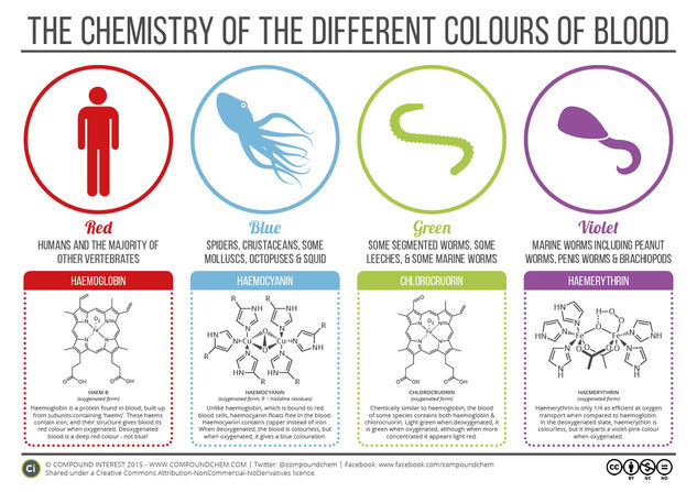 The Chemistry of The Colours of Blood