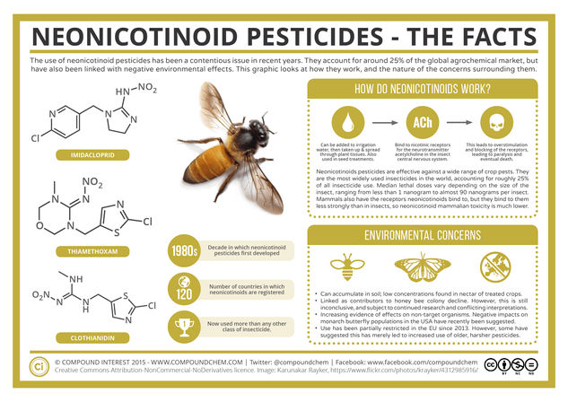 Neonicotinoid Pesticides & Bee Colonies