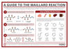 Food Chemistry – The Maillard Reaction