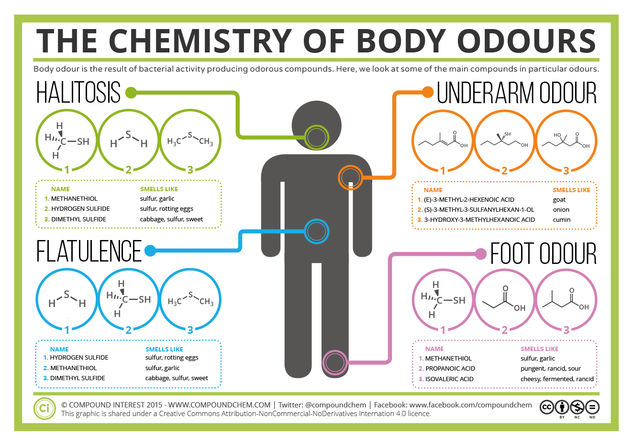 The Chemistry of Body Odours – Sweat, Halitosis, Flatulence & Cheesy Feet