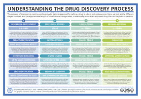 Understanding the Drug Discovery Process