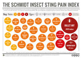 Schmidt Insect Sting Pain Index