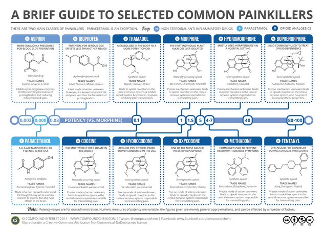 A Brief Guide to Common Painkillers