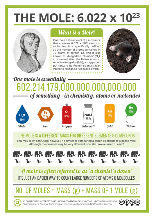 Mole Day – Avogadro & The Mole