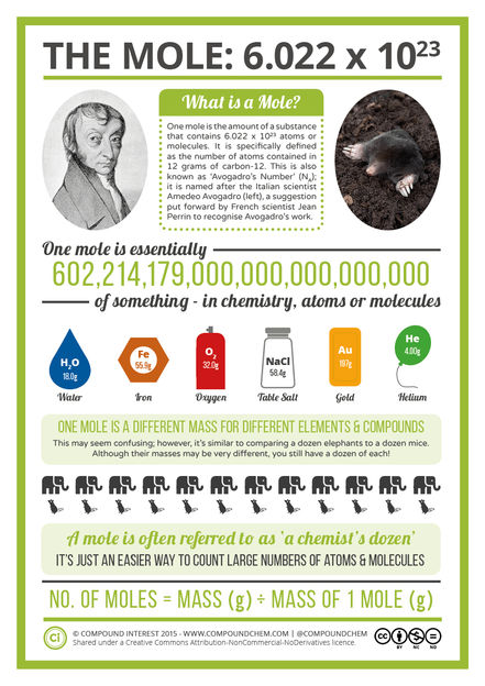 Mole Day