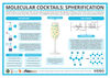 Science Hits the Bar – The Chemistry of Cocktail Spherification