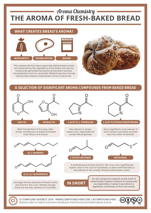 Aroma Chemistry – The Smell of Freshly-Baked Bread