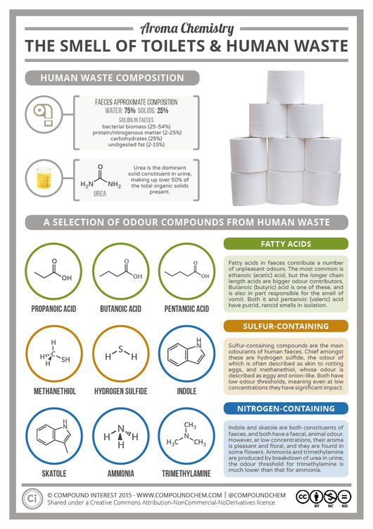The Chemistry of the Smell of Toilets & Human Waste