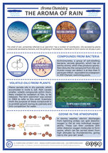 The Chemical Compounds Behind The Smell Of Rain