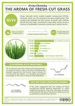 What Causes The Smell of Fresh-Cut Grass?