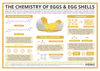 The Chemistry of Eggs & Egg Shells