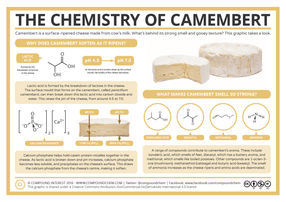 The Chemistry of Camembert