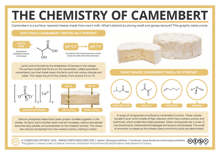 The Chemistry of Camembert