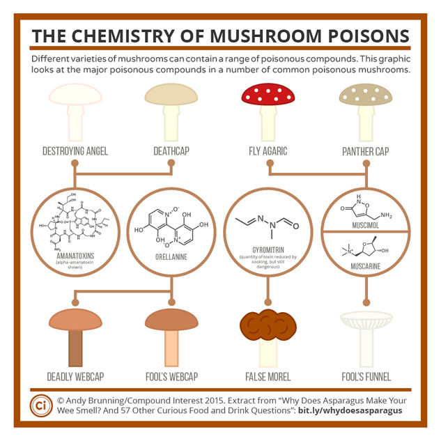 The Chemistry of Poisonous Mushrooms
