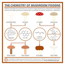 The Chemistry of Poisonous Mushrooms