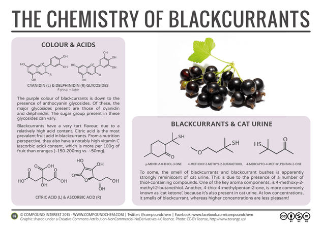 Blackcurrants & Cat Urine – The Chemistry of Blackcurrants