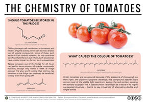 To Refrigerate, Or Not To Refrigerate? – The Chemistry of Tomatoes