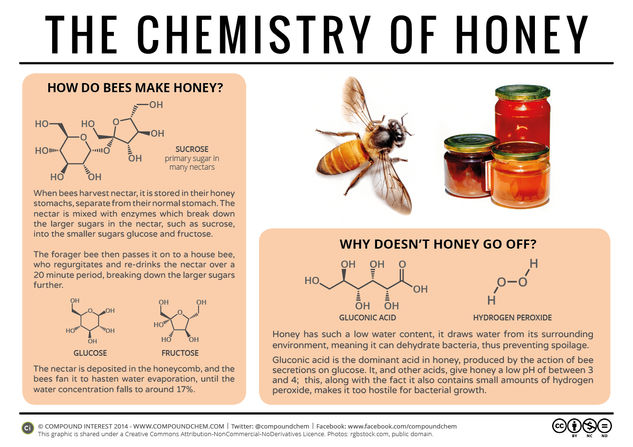 Why Doesn’t Honey Spoil? – The Chemistry of Honey