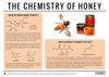 Why Doesn’t Honey Spoil? – The Chemistry of Honey