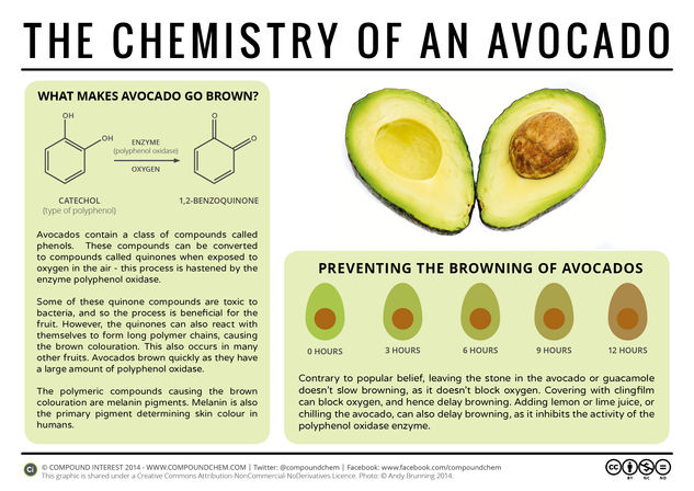 Why Do Avocados Turn Brown?