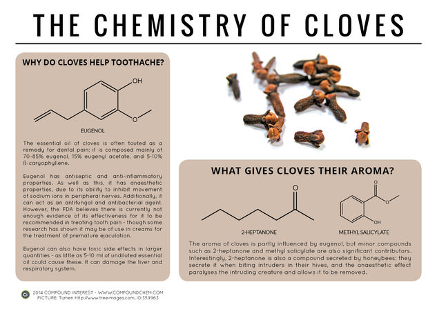 Guarding Against Toothache & Premature Ejaculation – The Chemistry of Cloves
