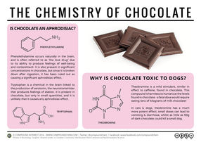 Toxicity & Aphrodisia – The Chemistry of Chocolate