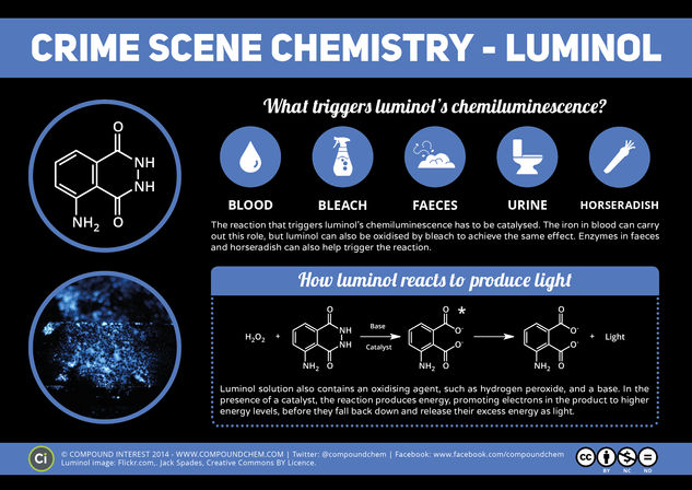 Crime Scene Chemistry – Luminol, Blood & Horseradish