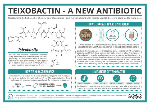 Teixobactin - A New Antibiotic