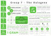 Group 7 Elements - Element Infographics