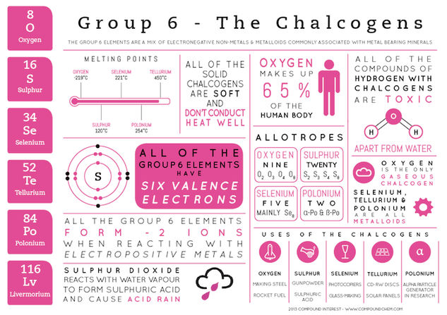 Group 6 Elements - Element Infographics