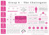 Group 6 Elements - Element Infographics
