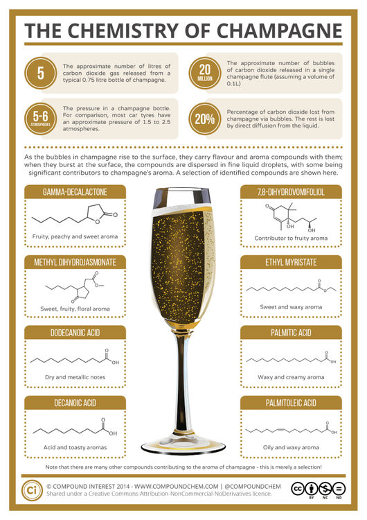 The Chemistry of Champagne