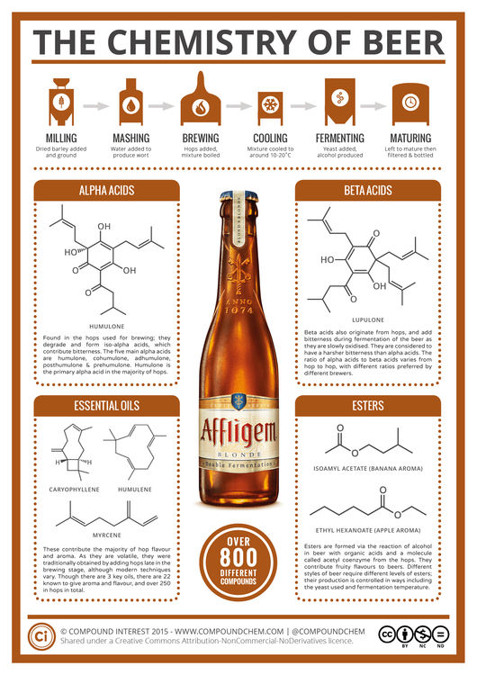 What Gives Beer its Bitterness & Flavour?