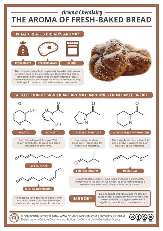 The Smell of Freshly-Baked Bread - Aroma Chemistry