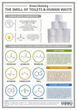 The Chemistry of the Smell of Toilets & Human Waste