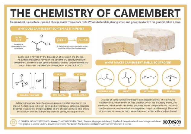 The Chemistry of Camembert