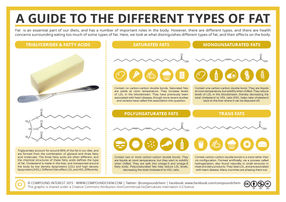 A Guide to the Different Types of Fat