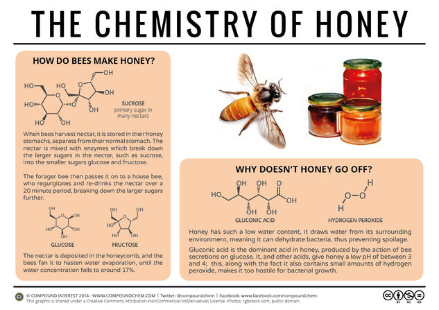 Why Doesn’t Honey Spoil?