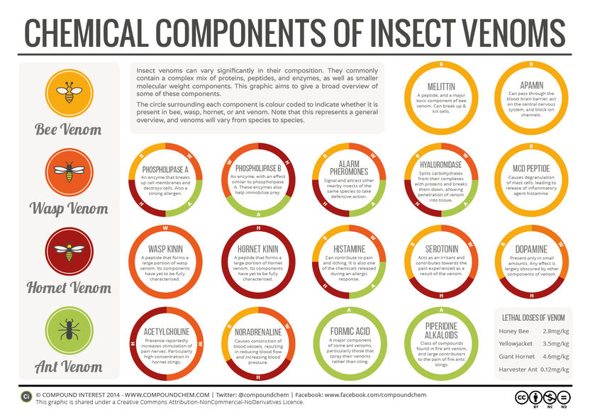The Chemical Compositions of Insect Venoms