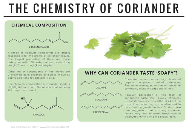 Why Can Coriander Taste Soapy?