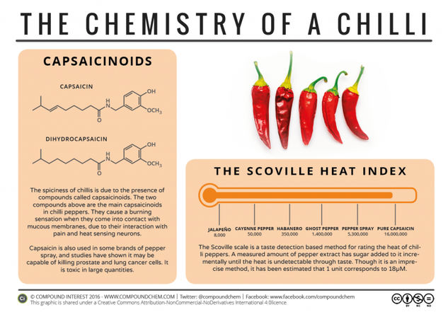 Why Chilli Peppers are Spicy