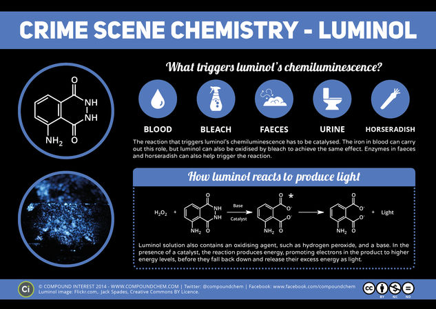 Luminol, Blood & Horseradish